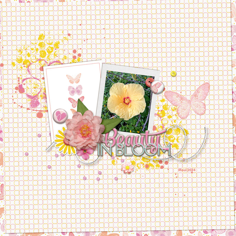 Beauty-in-bloom