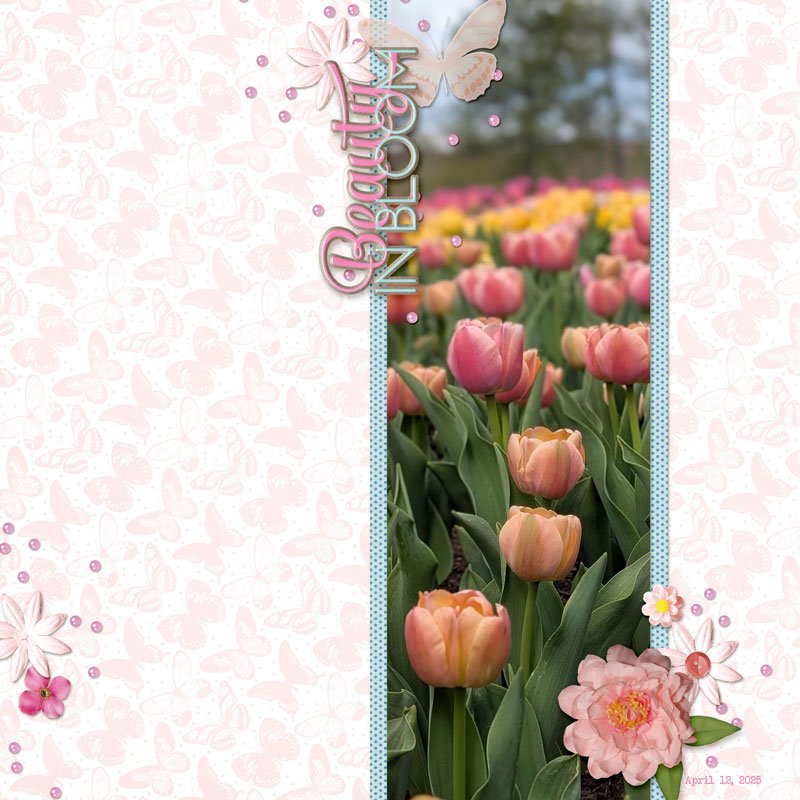 beauty in bloom