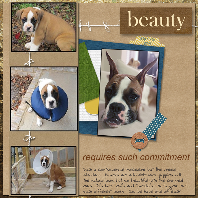 Beauty-moc 11