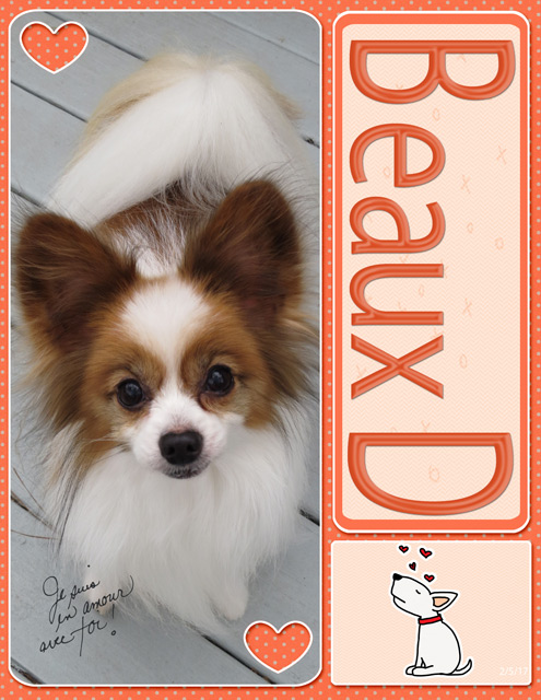 Beaux-D