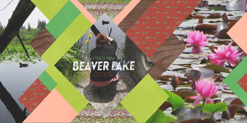 Beaver Lake in Stanley Park