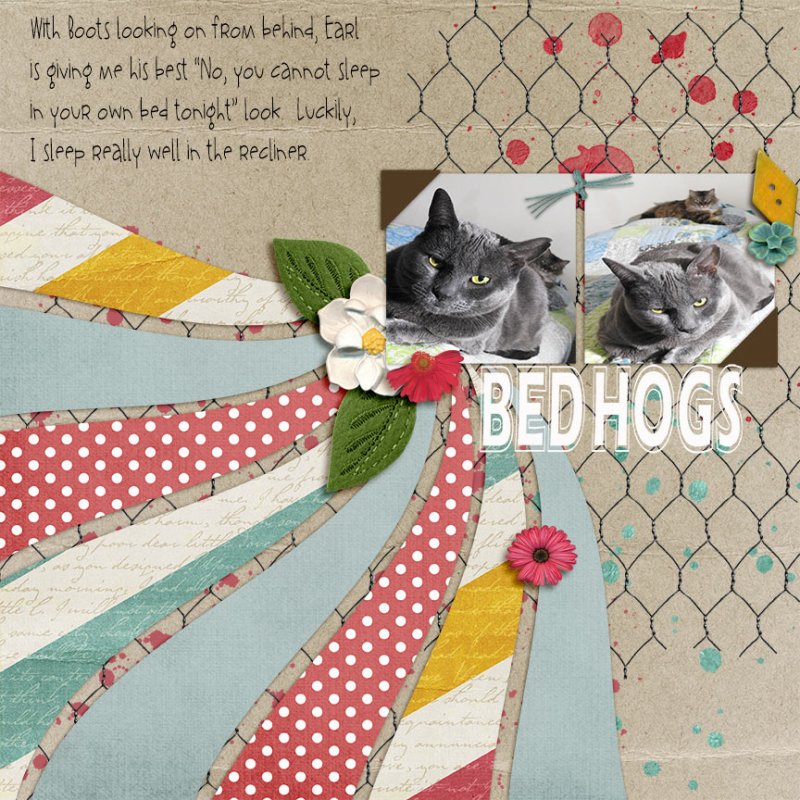 Bed-Hogs