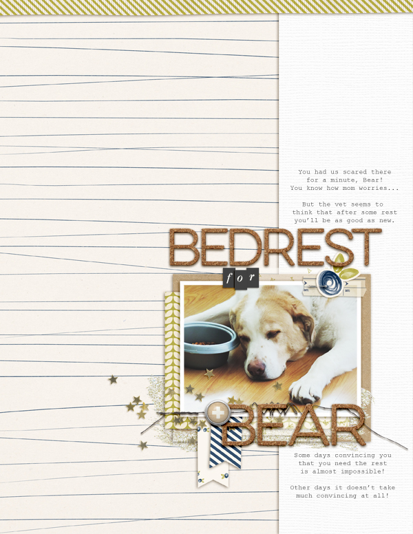Bedrest for Bear