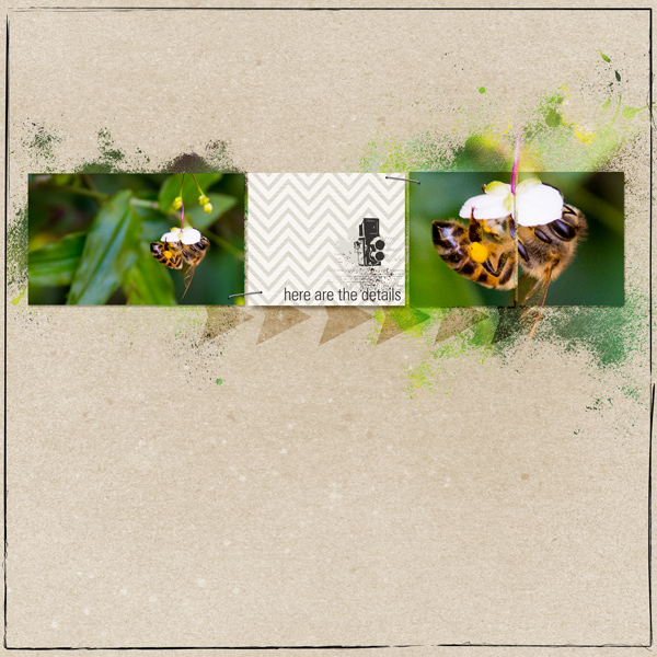 Bee Close