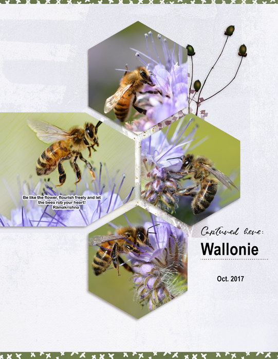 Bee