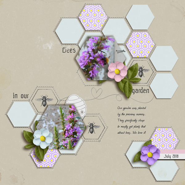 Bees In Our Garden