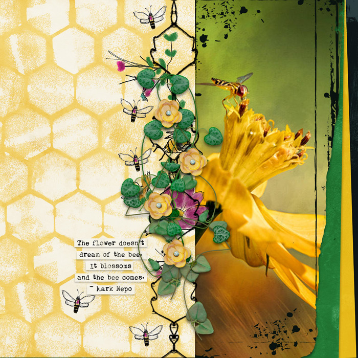 Bees