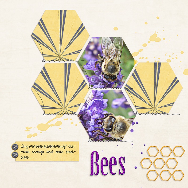 Bees