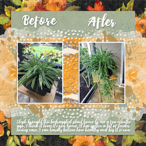 Before and After