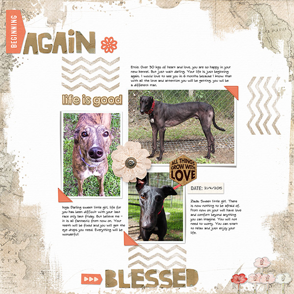 Beginning Again and Blessed