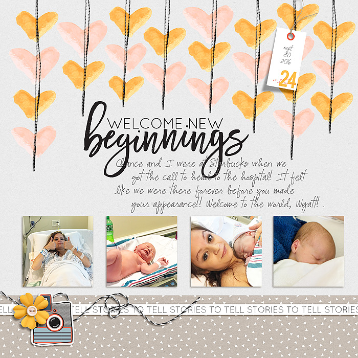 Beginnings