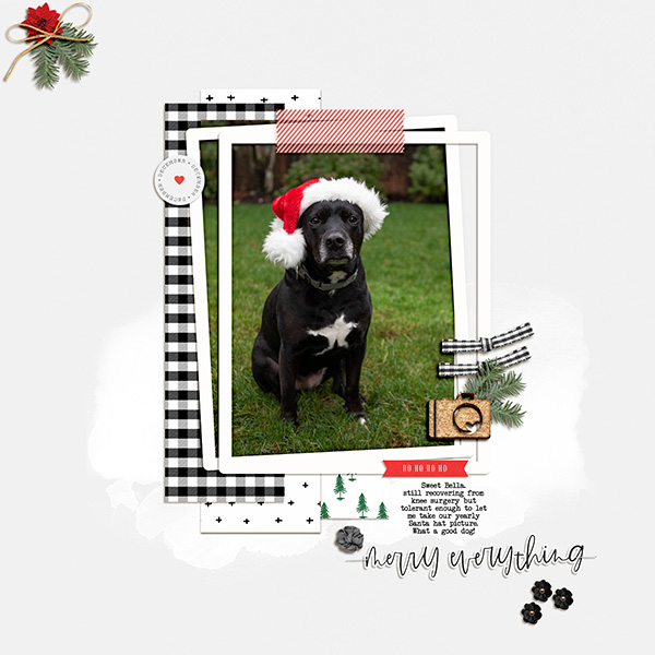 Bella In Santa Hat