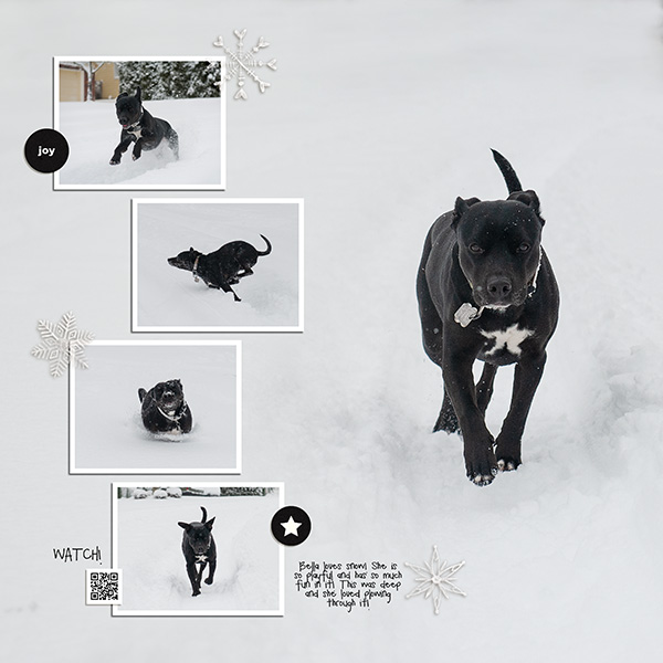 Bella In The Snow