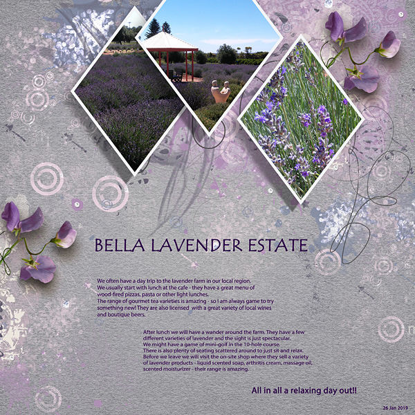 Bella Lavender