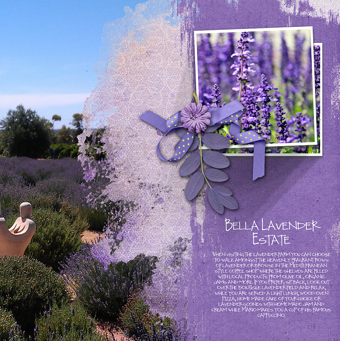 Bella-Lavender2