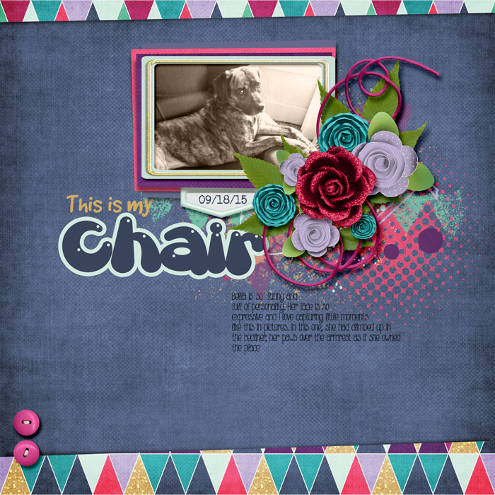 Bellachair_91815sm