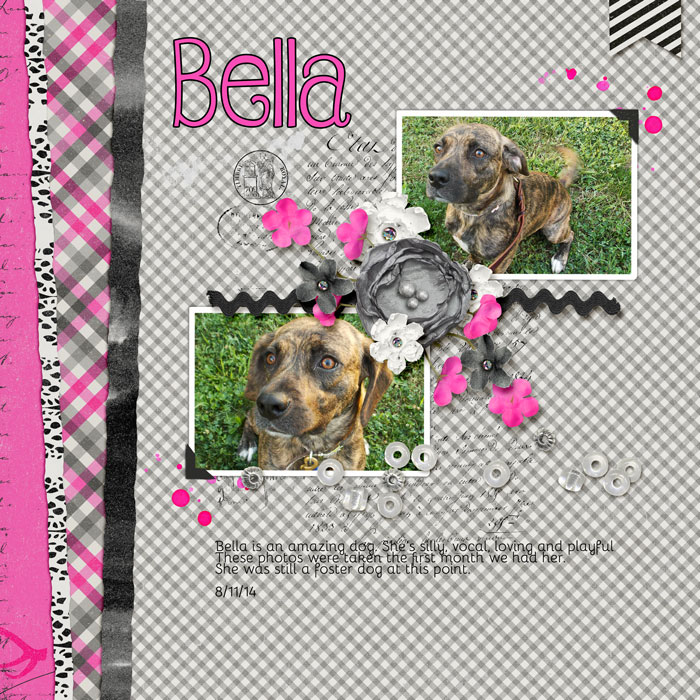 Belladuringfoster81114sm