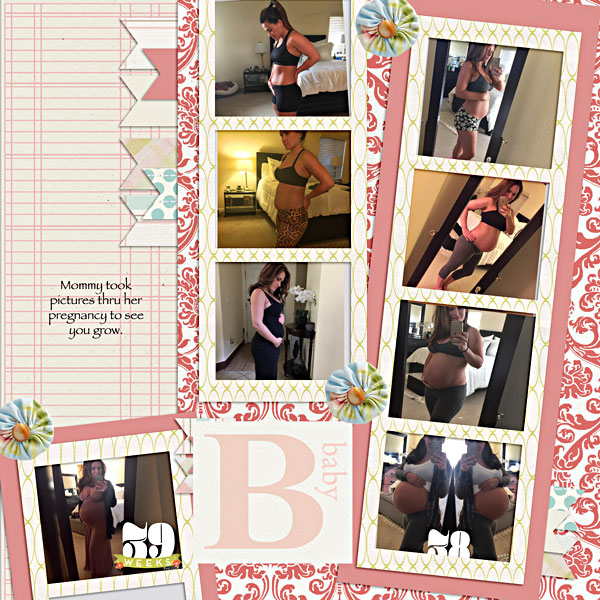 Belly__Web