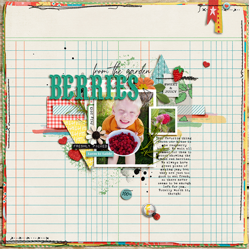 Berries from the Garden