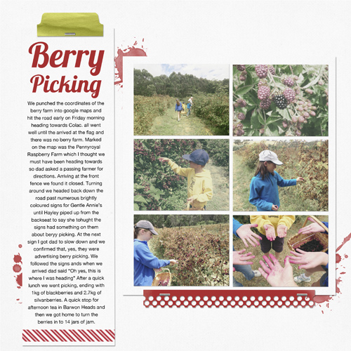 Berry Picking