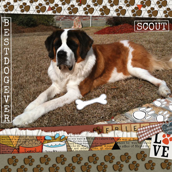 Best Dog Ever - 6-21 Visual Slow Scrap: Titles