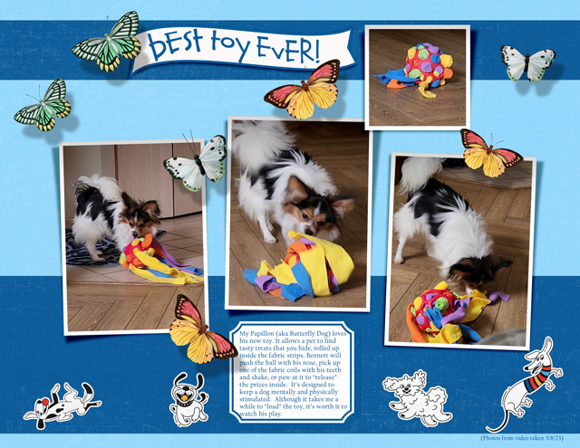 Best-Toy-Ever!