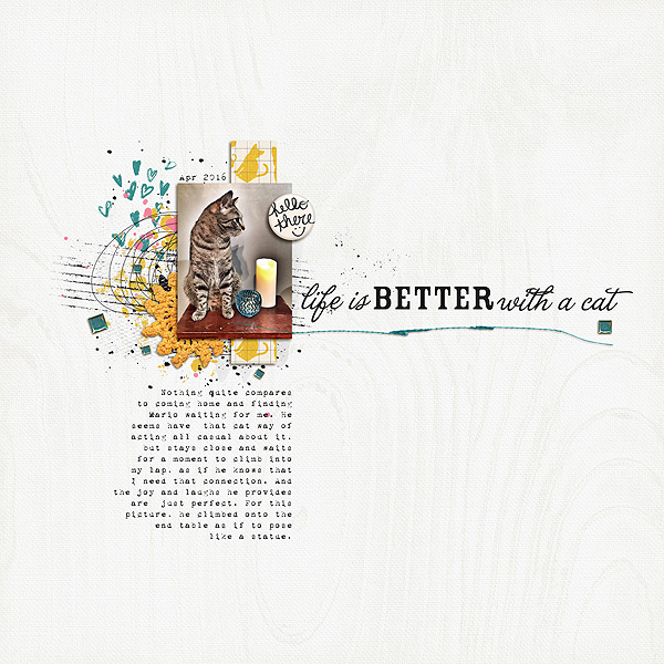 Better With A Cat