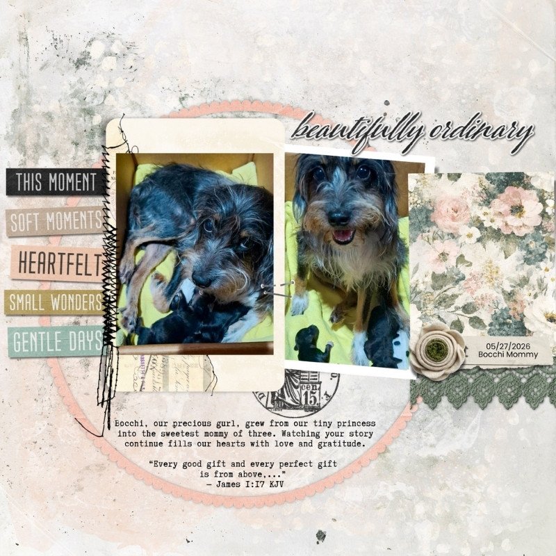 Beutifully Ordinary