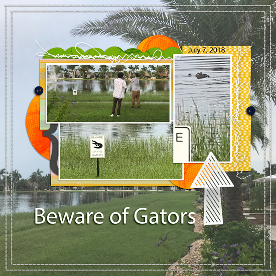 Beware of the Gators