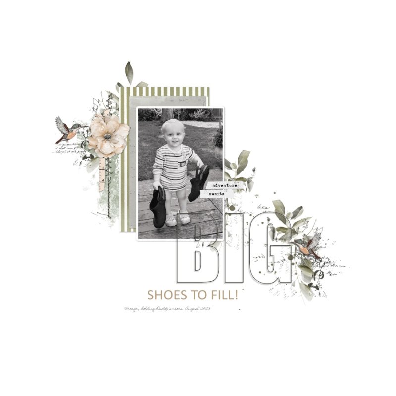 Big Shoes