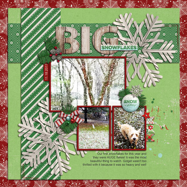 Big Snowflakes