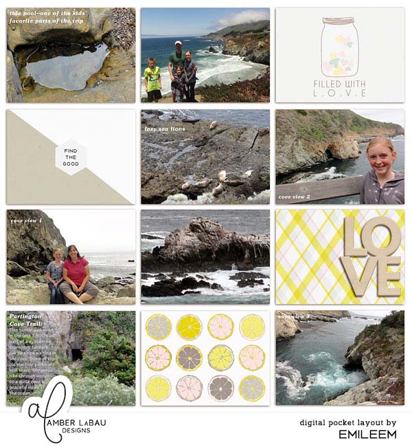Big Sur 1