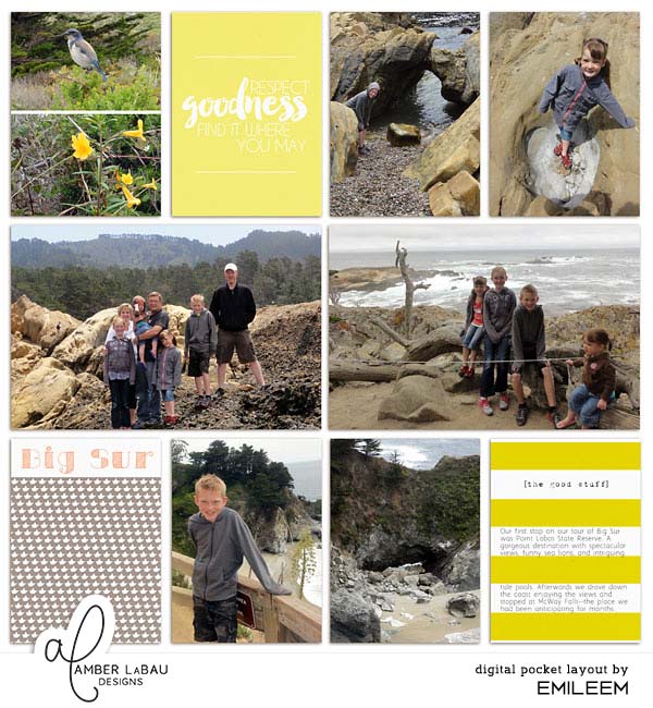 Big Sur 2