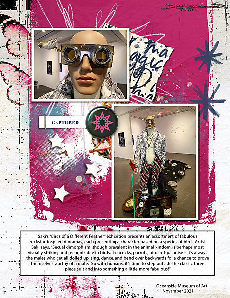 BigDeal_Stardust_flowersgal_web