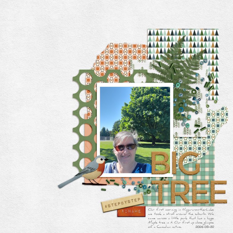 BigTree