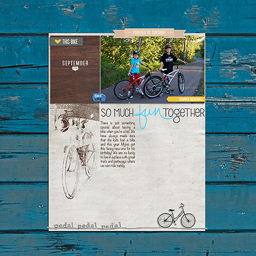 Bike Like