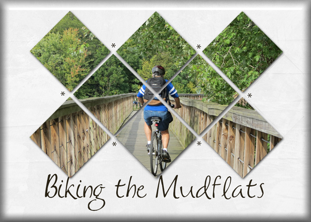 Biking-the-Mudflats