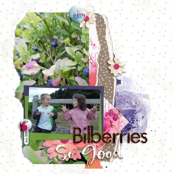Bilberries