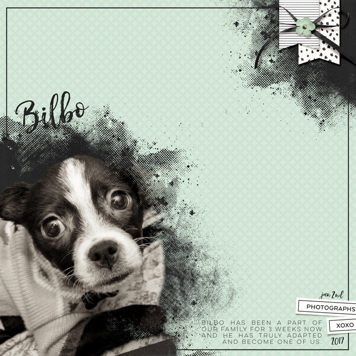 Bilbo