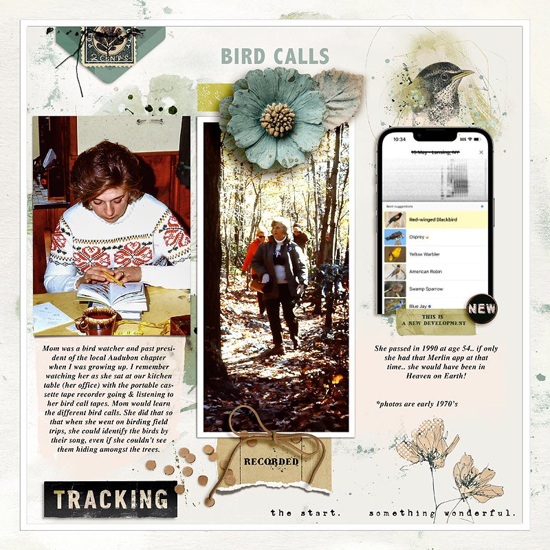Bird Calls