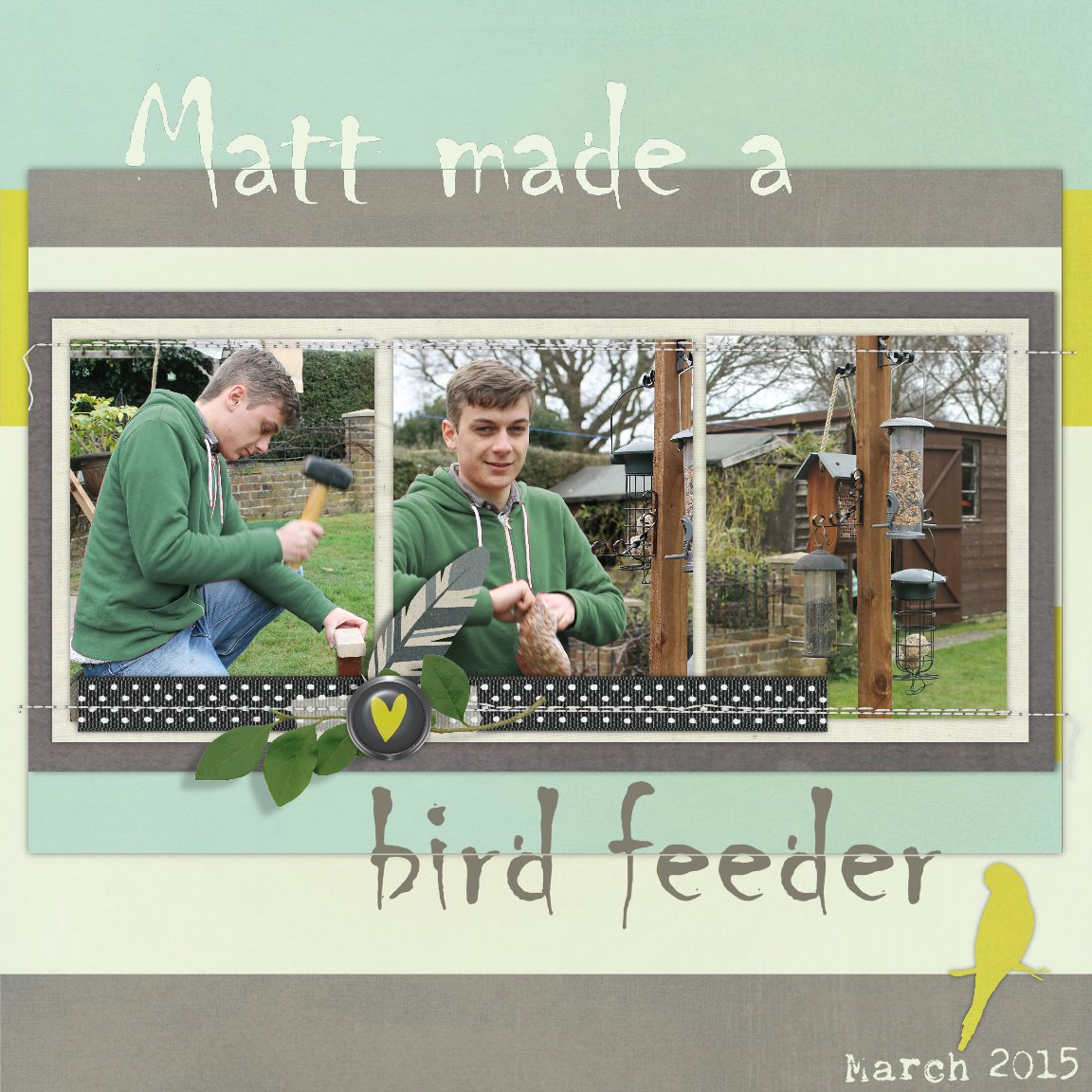 Bird Feeder