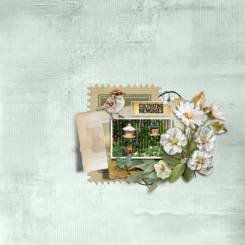 Bird Feeders