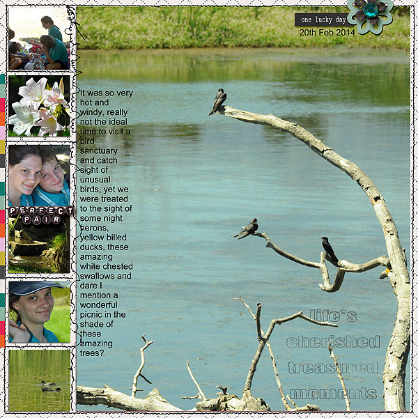 Bird Sanctuary