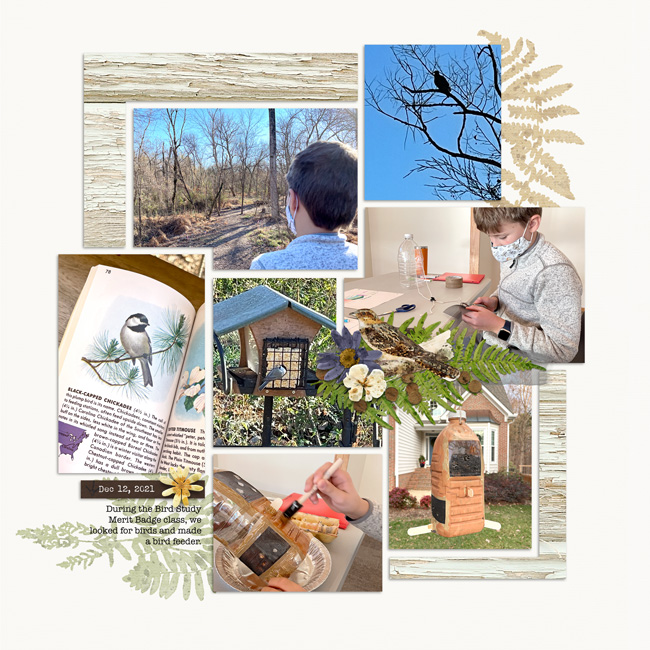 Bird Study Merit Badge Class