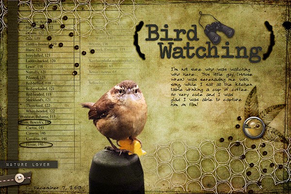 Bird Watching