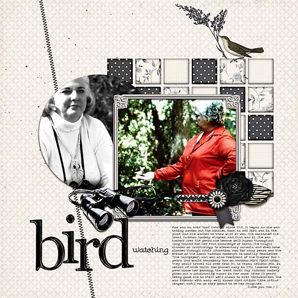 Bird Watching