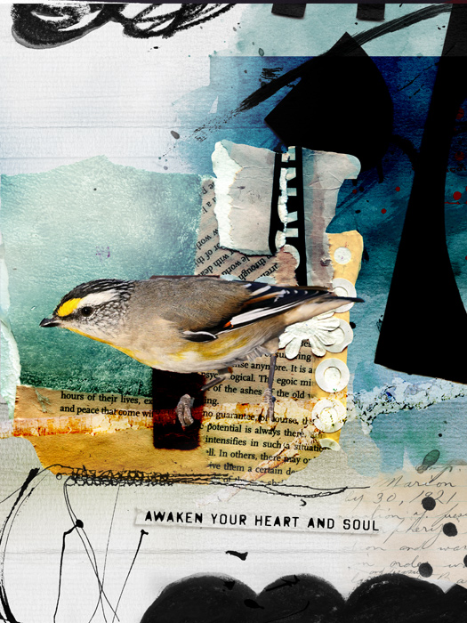 Bird