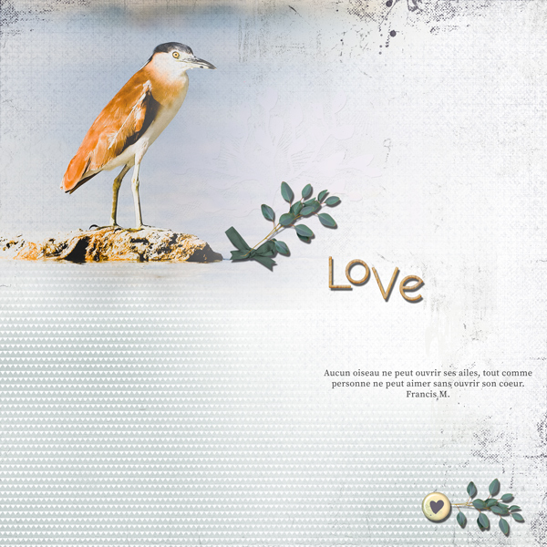 Bird