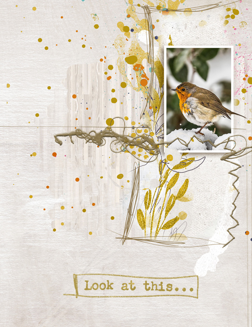 Bird