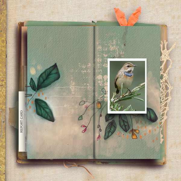 Bird